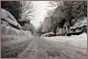 Montreal