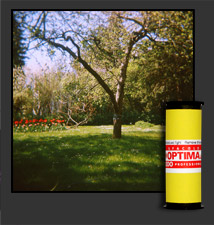agfa optima