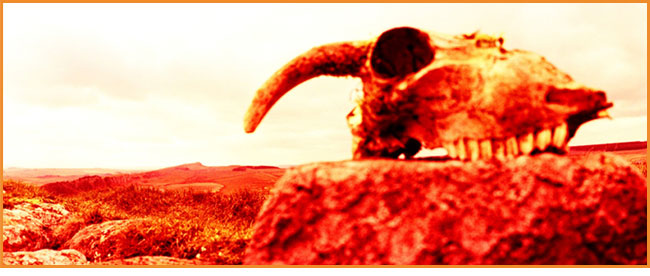 the Horizon Gallery of Curiosities friends