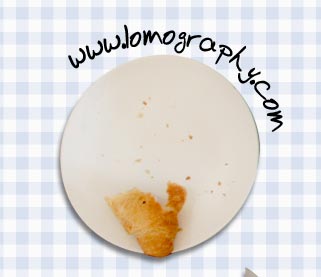 www.lomography.com