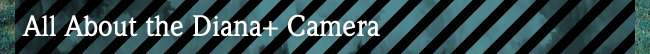 ALL ABOUT THE DIANA+ CAMERA