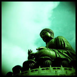 The Green-eyed Holga galleries