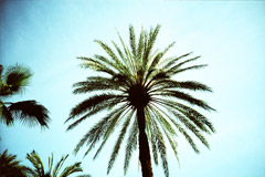 kodak elitechrome