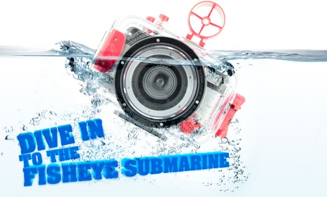 Dive in to the Fisheye Submarine