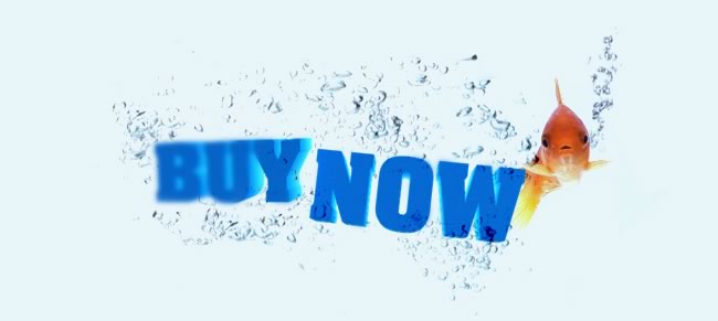 Buy Now!