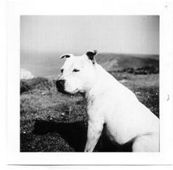 Lubitel Sample Image