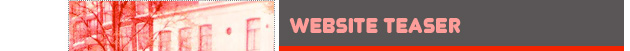 Website teaser