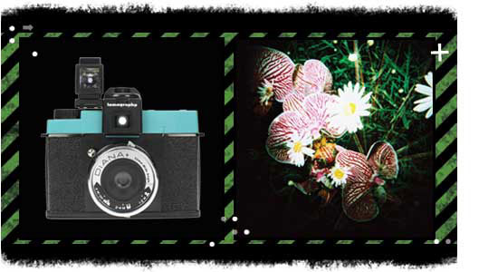 Diana Microsite: http://www.lomography.com/diana/products/55mm-lens
