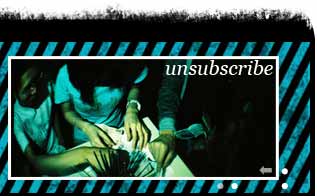 you can unsubscribe the newsletter here: http://www.lomography.com/newsletter/unsubscribe/?BULK_EMAIL_CODED