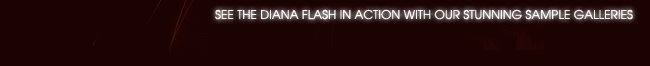 See the Diana Flash in action with our stunning sample galleries