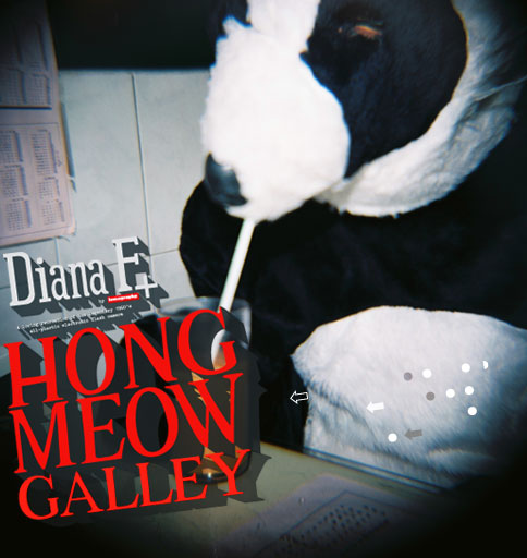 http://www.lomography.com/diana/theory/galleries/hongmeow