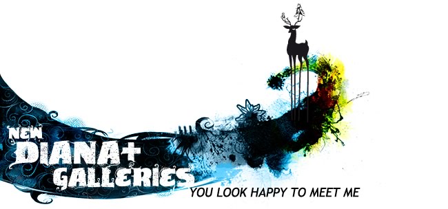 YOU LOOK HAPPY TO MEET ME // NEW DIANA+ SAMPLE GALLERIES