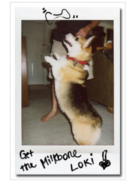 In just a matter 
											of minutes, seconds even, images start to appear as if by magic!