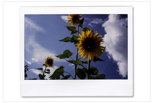 FujiFilm Instax Wide - 
									Wide format with great retro colour finish! - Got to Shop: http://shop.lomography.com/go/?where=shop&pro=iwf