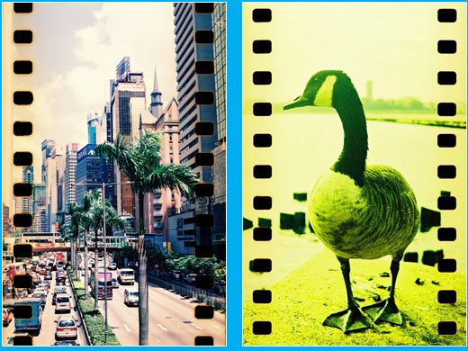 http://www.lomography.com/lubitel166+/