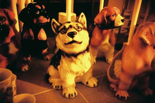 RedScale Film Gallery