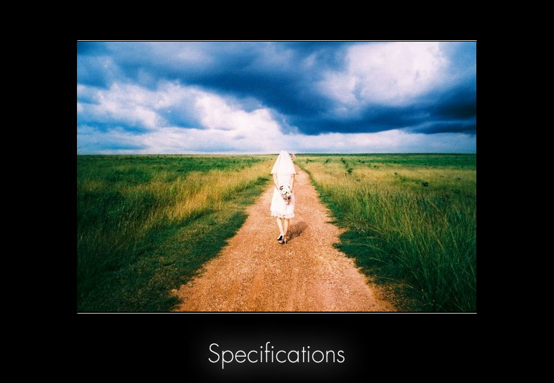 Specifications 
