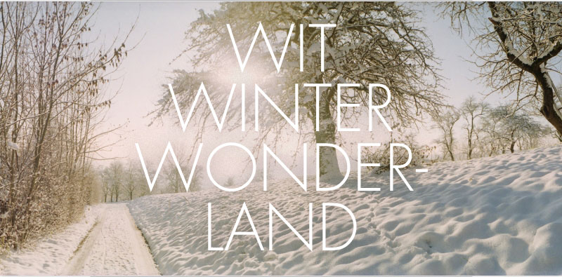 A WHITE WINTER WONDERLAND 