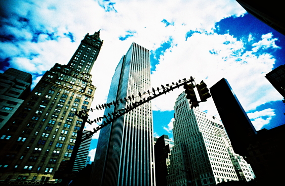 Top 25 Wide Angle LC-Wide Shots
