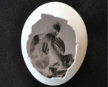 The Pinhegg &ndash; My Journey To Build An Egg Pinhole Camera
