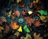Workshop di Ottobre BOO-YA