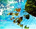 What Does Dreaming Look Like?
