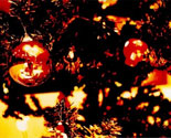 Workshop di Dicembre