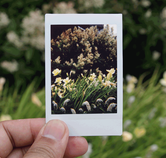 Share the Love with the New Lomo’Instant App
