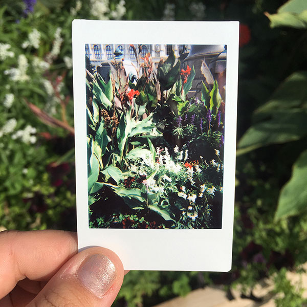 Share the Love with the New Lomo’Instant App