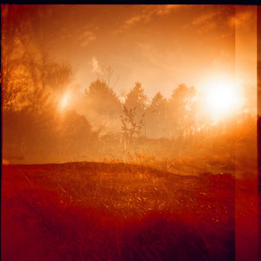 Alternative Landscapes