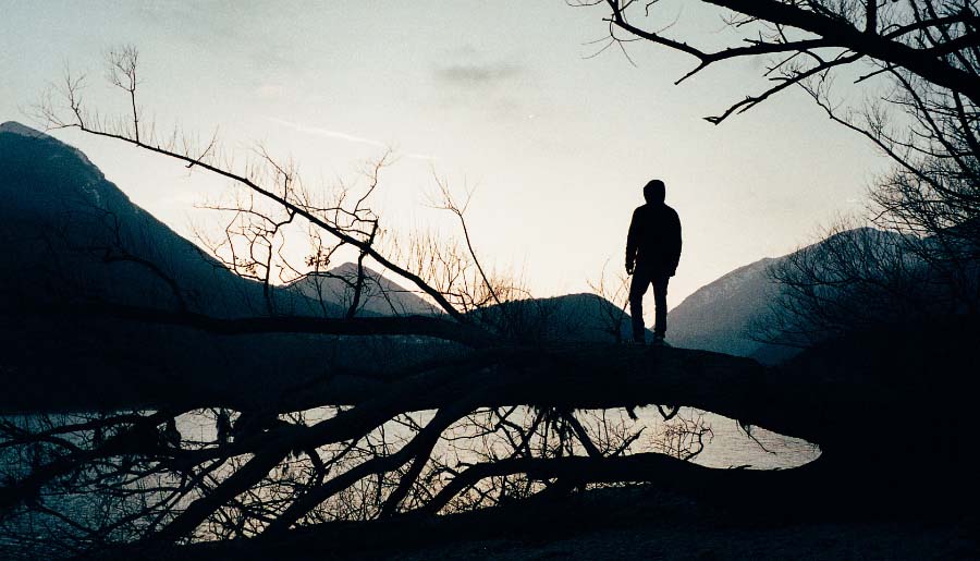 Where Will You Go?