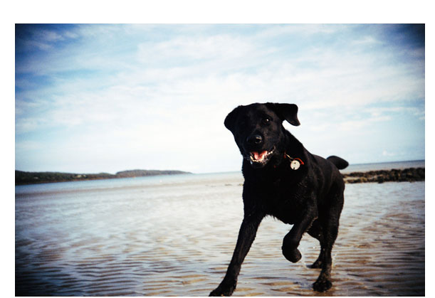 Summer at Heart, 5 USD voucher for Australians only!