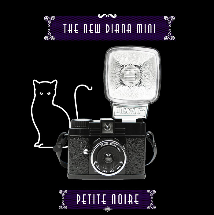 Diana Mini Petite Noire
