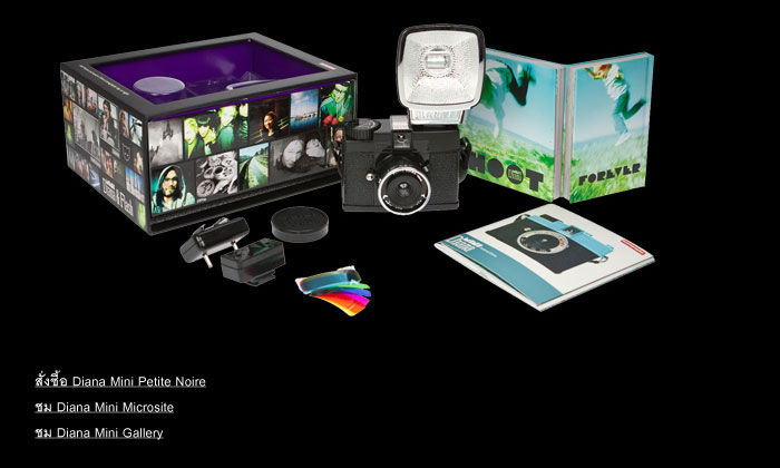 Diana Mini Petite Noire