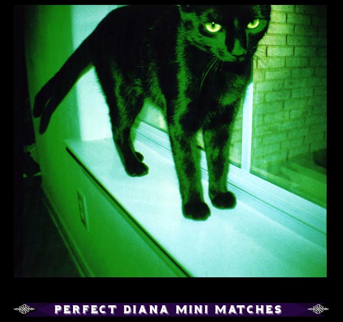 Diana Mini Petite Noire