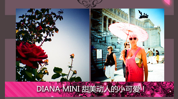Introducing the Diana Mini En Rose