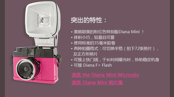 Introducing the Diana Mini En Rose
