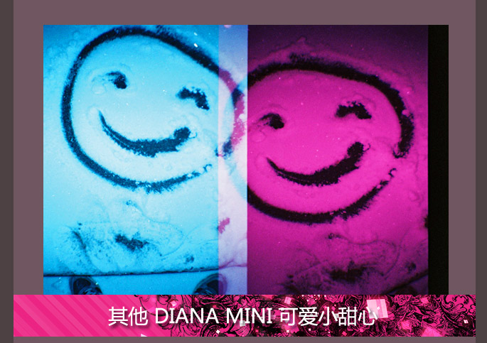 Introducing the Diana Mini En Rose