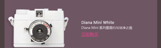 Introducing the Diana Mini En Rose
