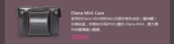 Introducing the Diana Mini En Rose