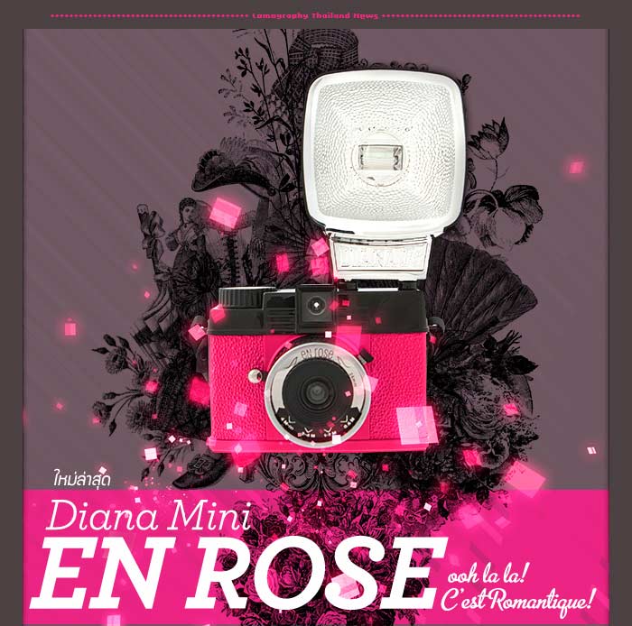 The New: Diana Mini En Rose!