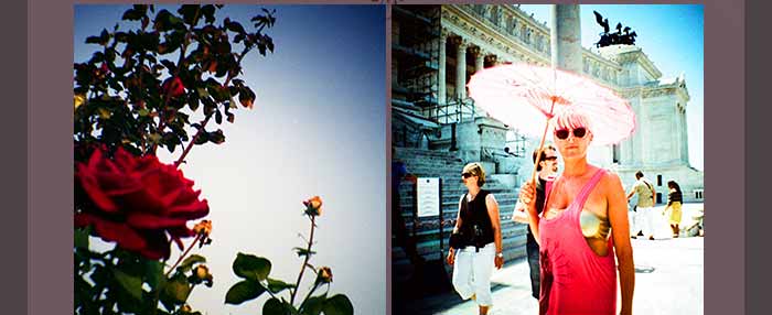 The New: Diana Mini En Rose!