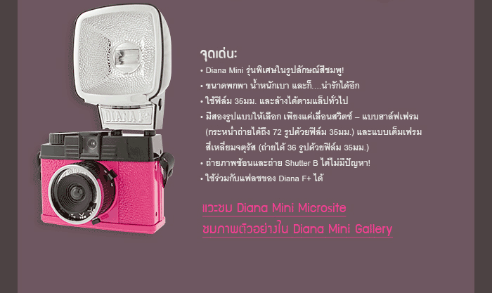 The New: Diana Mini En Rose!