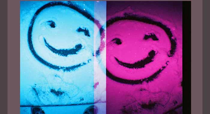 The New: Diana Mini En Rose!