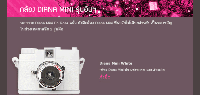 The New: Diana Mini En Rose!