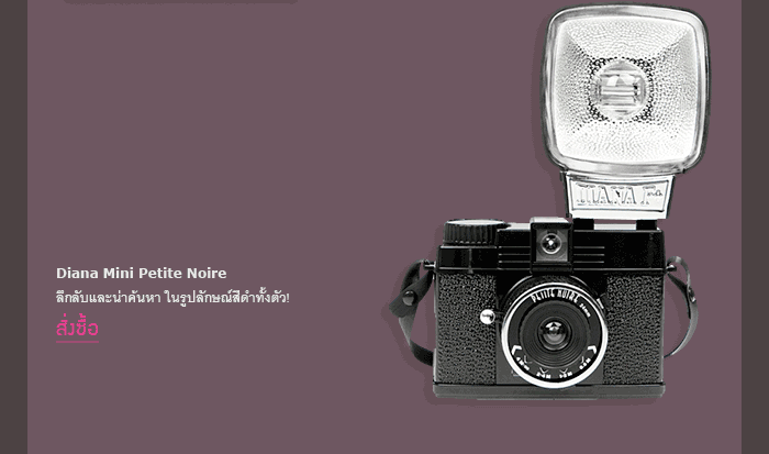 The New: Diana Mini En Rose!