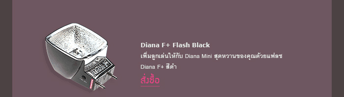 The New: Diana Mini En Rose!