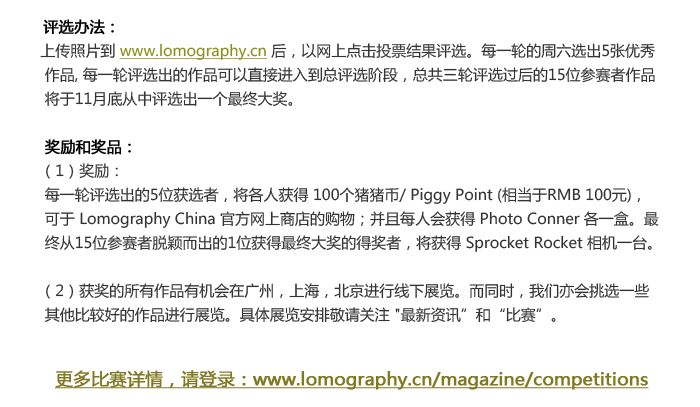 Lomography China Nov 2010 Online Competition_CN