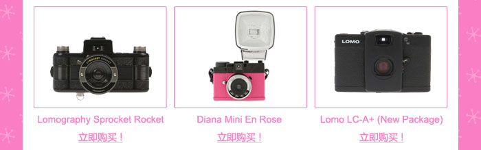 Holiday Piggy for you from Lomography China