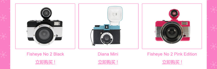 Holiday Piggy for you from Lomography China